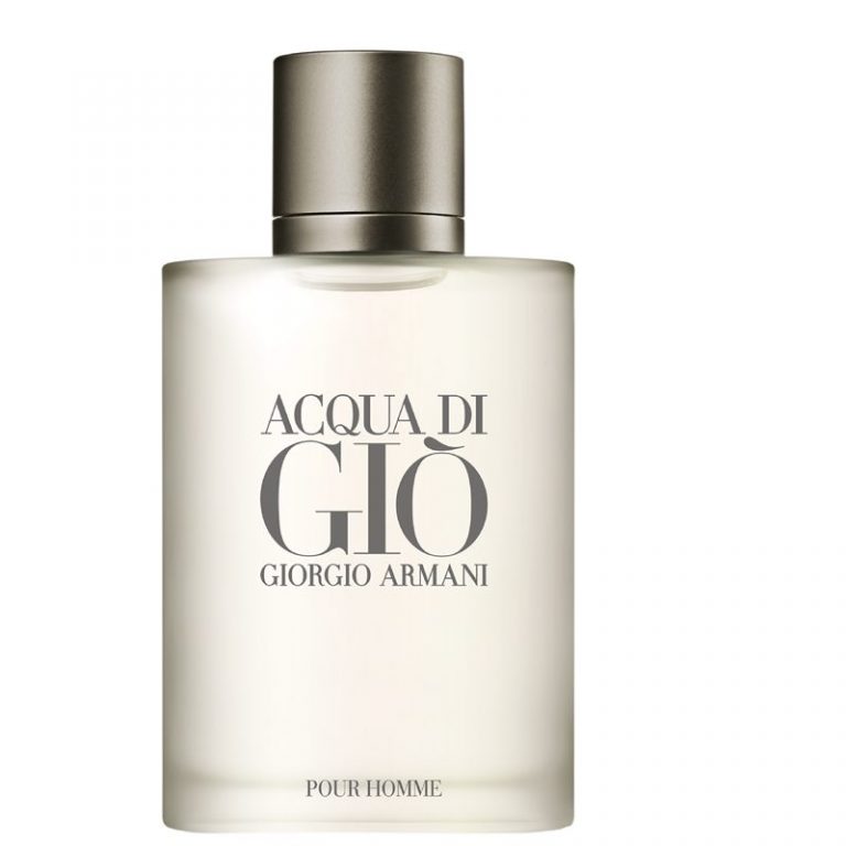 Acqua di Gio Pour Homme Eau de Toilette Spray 100ml | Ascot Cosmetics