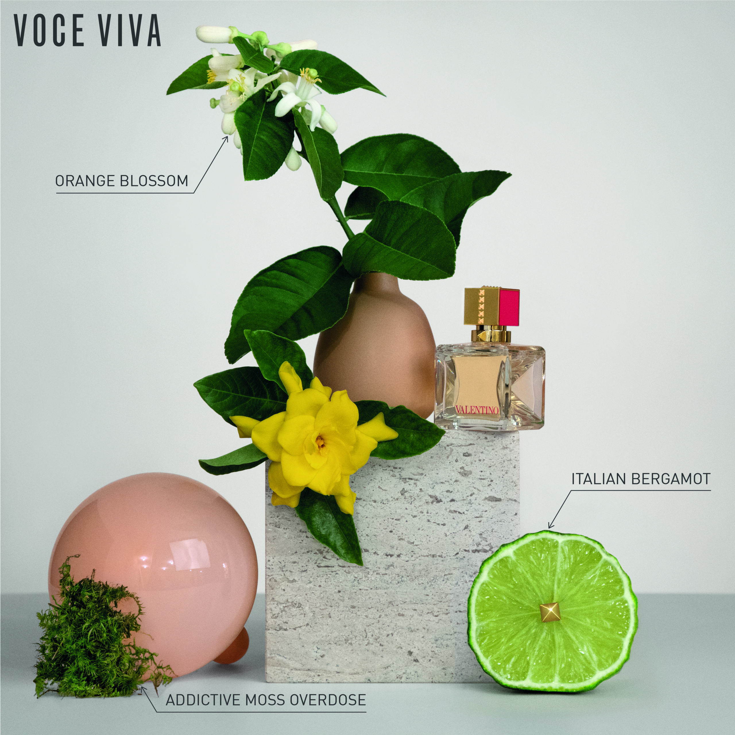 Voce Viva Eau de Parfum  Burmunk Perfumery Chain