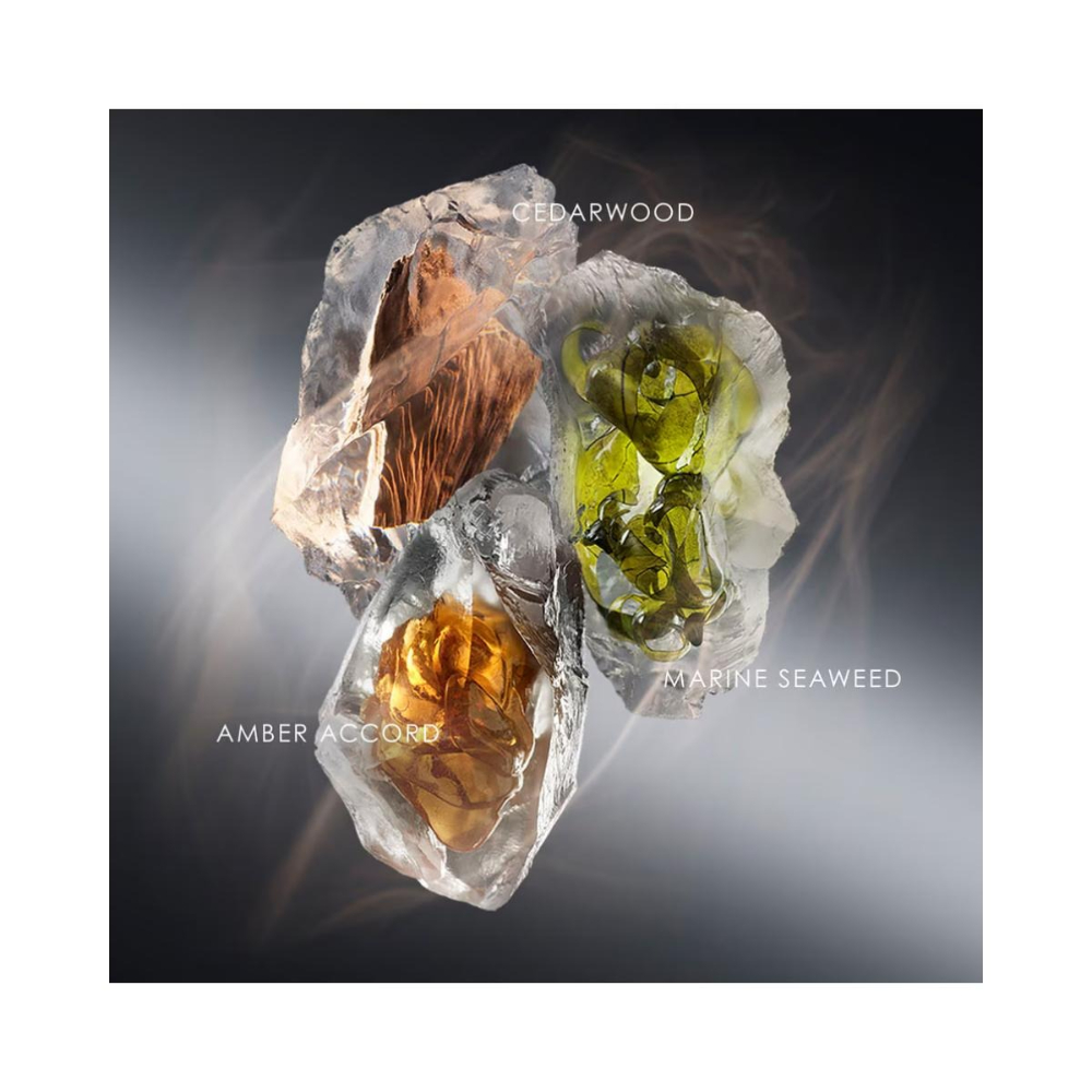 AC3423222119485 -2 (1)